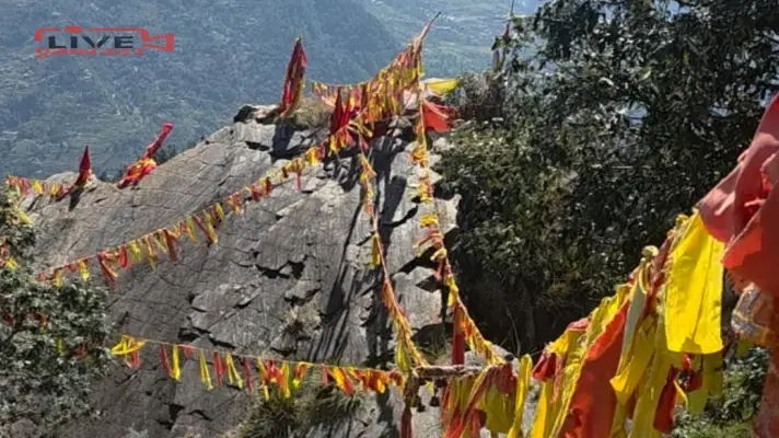 blog image